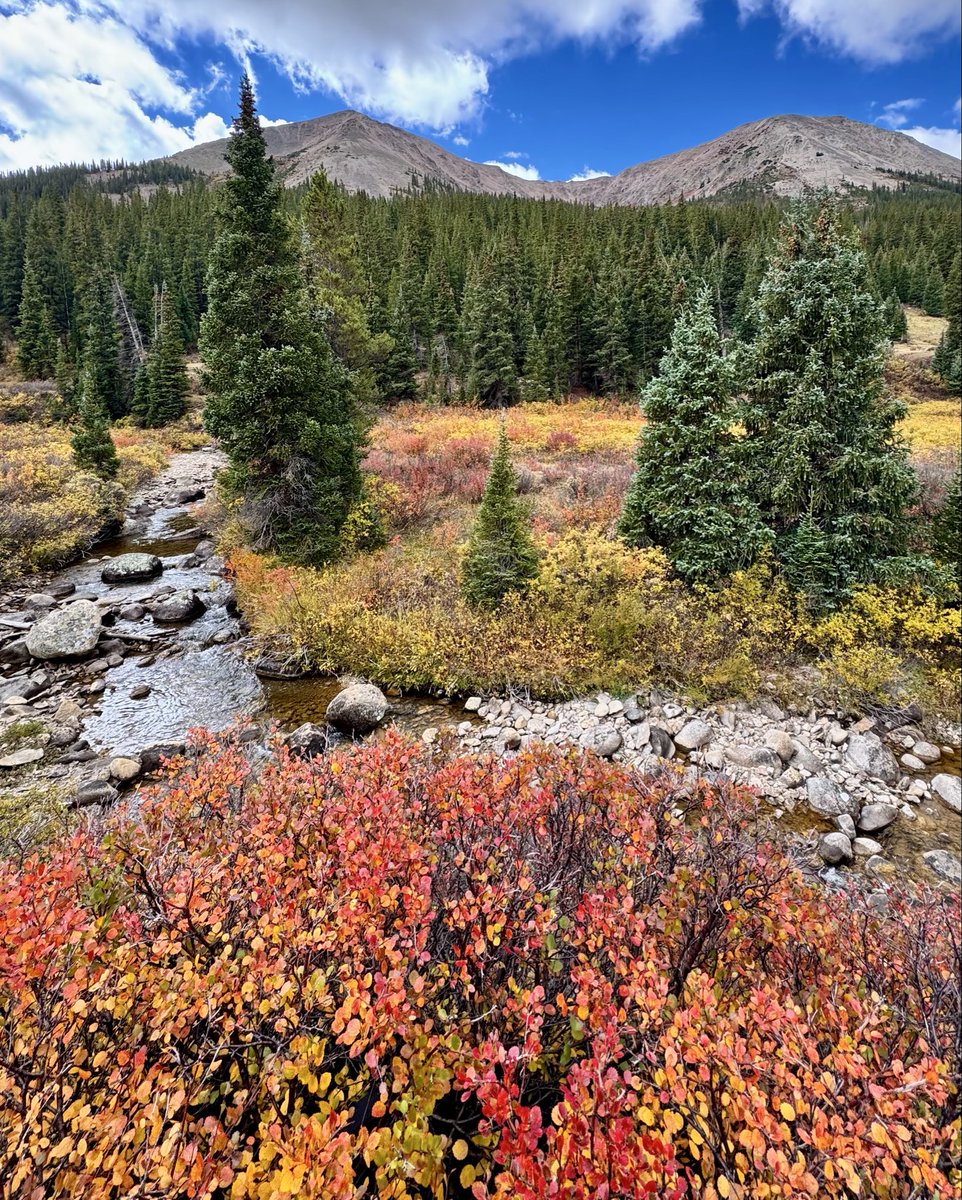 D Miller tweet media