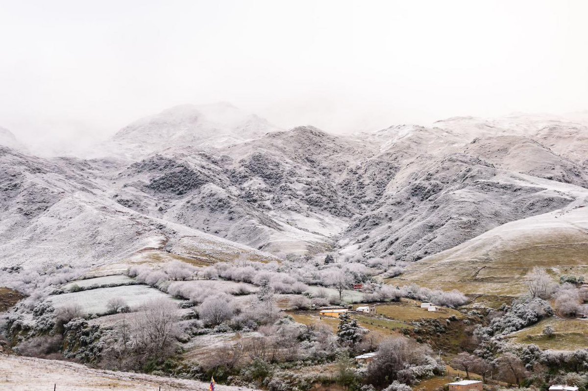 Only in Tucumán tweet media