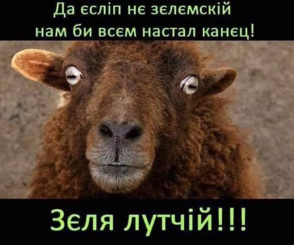 злий докторішка tweet media