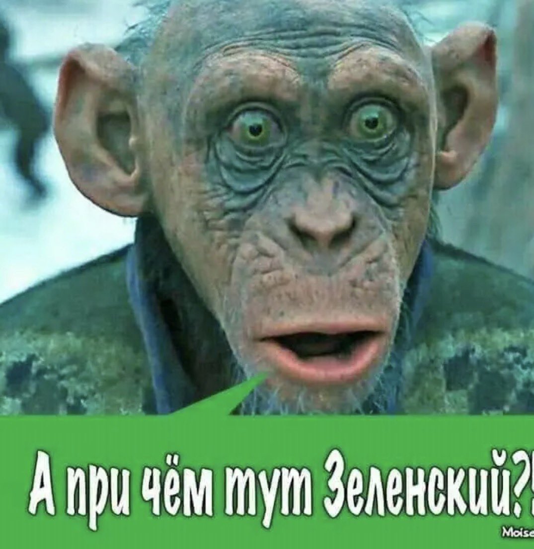 злий докторішка tweet media