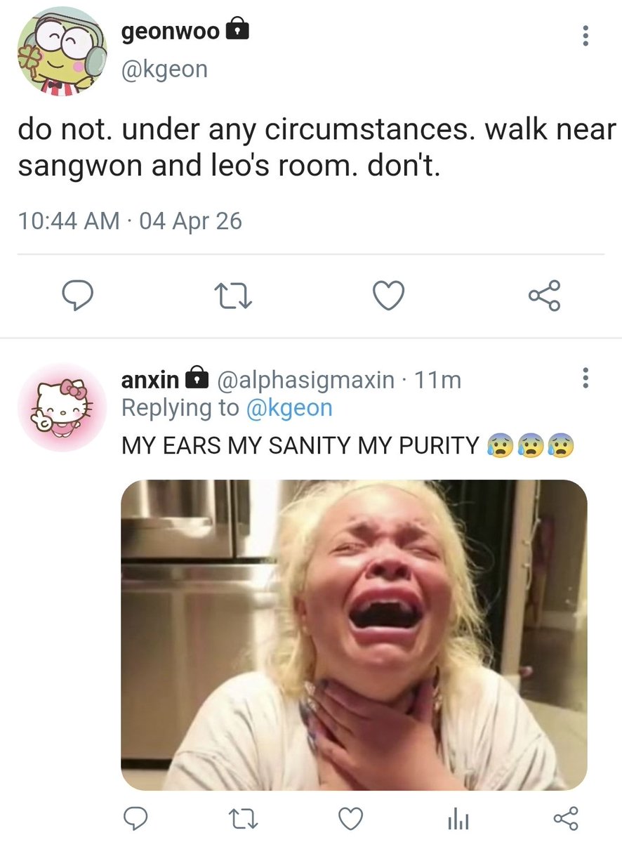 ₍ᐢ. .ᐢ₎ mai 📌 tweet media