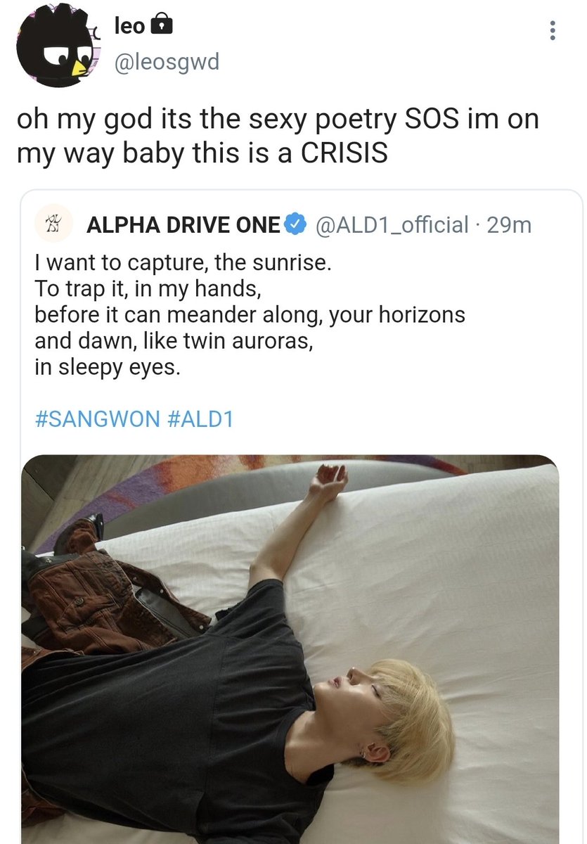 ₍ᐢ. .ᐢ₎ mai 📌 tweet media