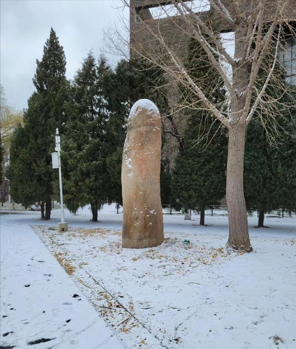 大狐帝国史官邹智萱（笔名段歌文） tweet media