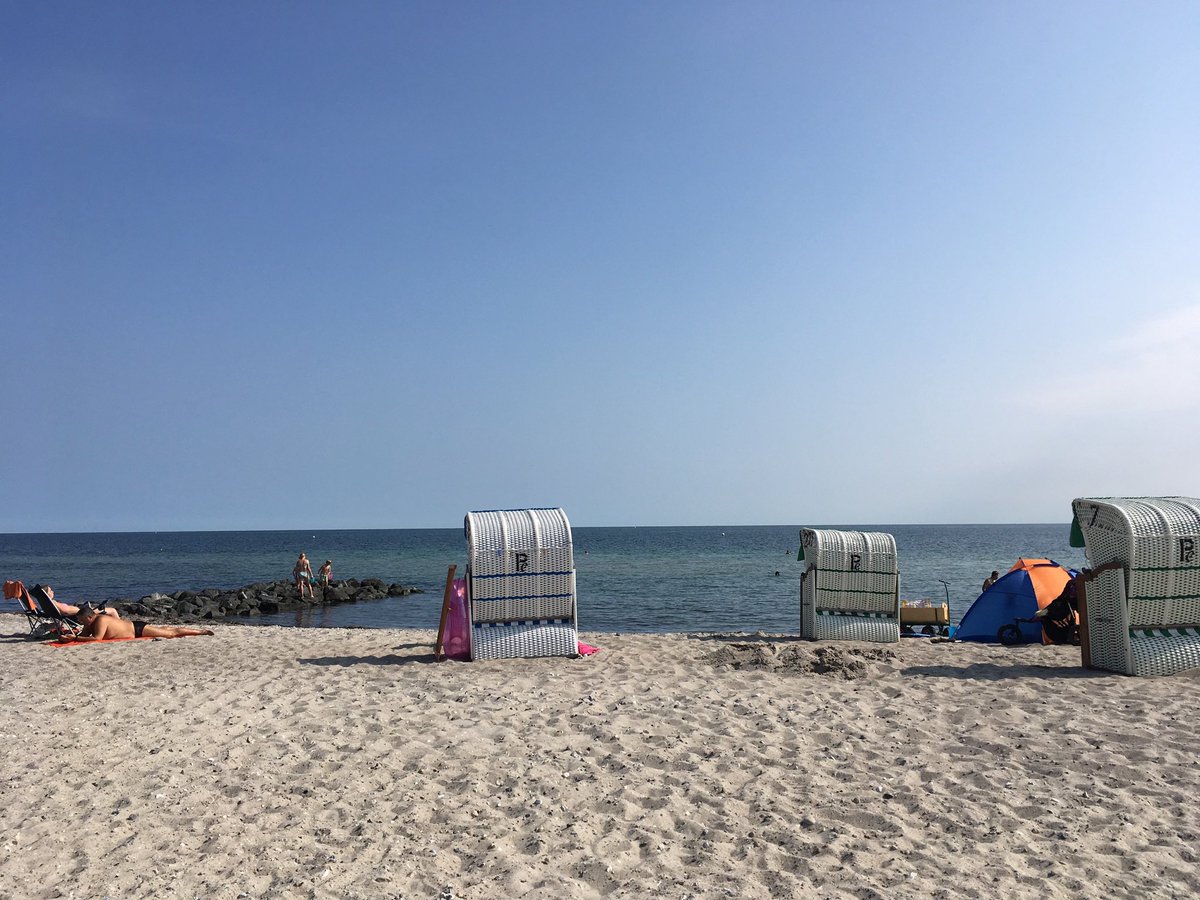 Annette W 💙 🇩🇪🇪🇺🇬🇧🏳️‍🌈 tweet media