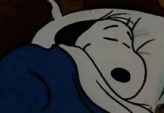 mandy 🧁 MIKE BDAY WEEK tweet media