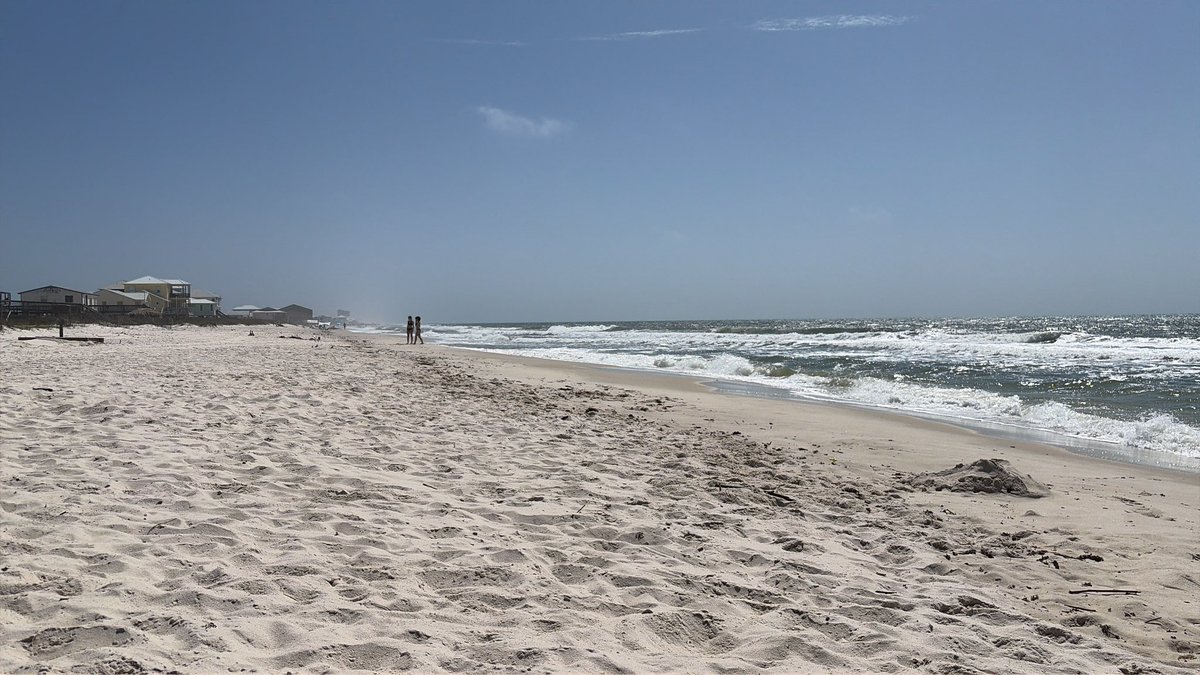 AppFlyer tweet media