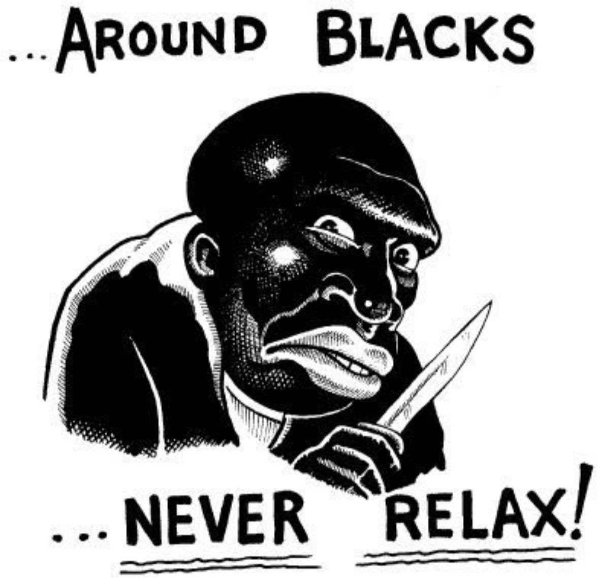 Mapache Enfurecido tweet media