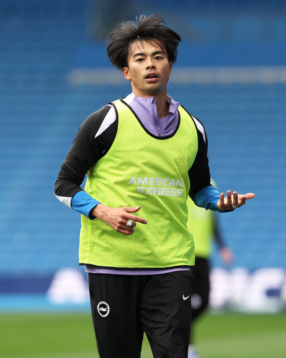 Brighton & Hove Albion tweet media