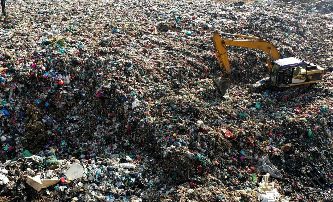 BitcoinSapiens ⚡️ tweet media