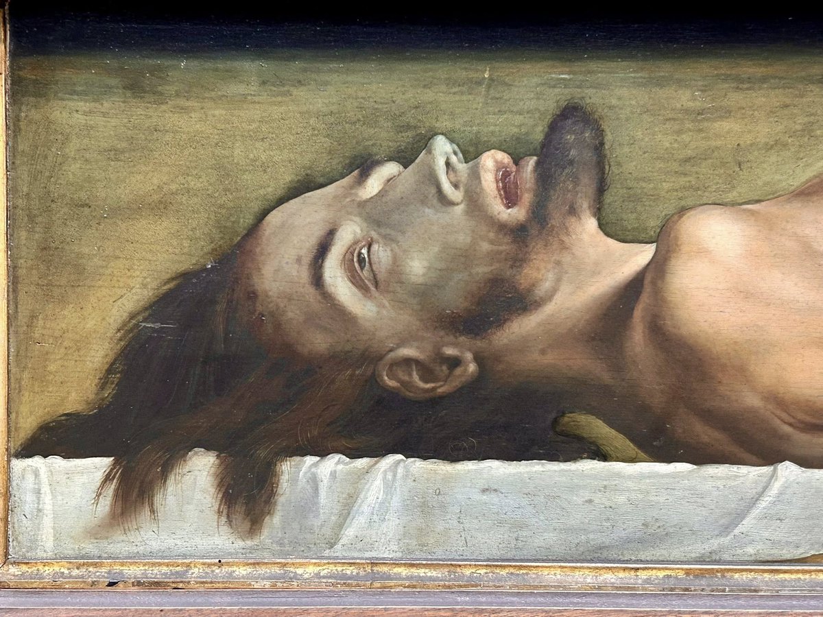 MaaikeDx 🖌 tweet media