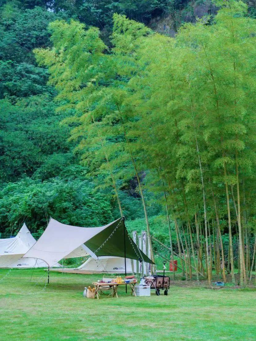 Octavia Hester tweet media