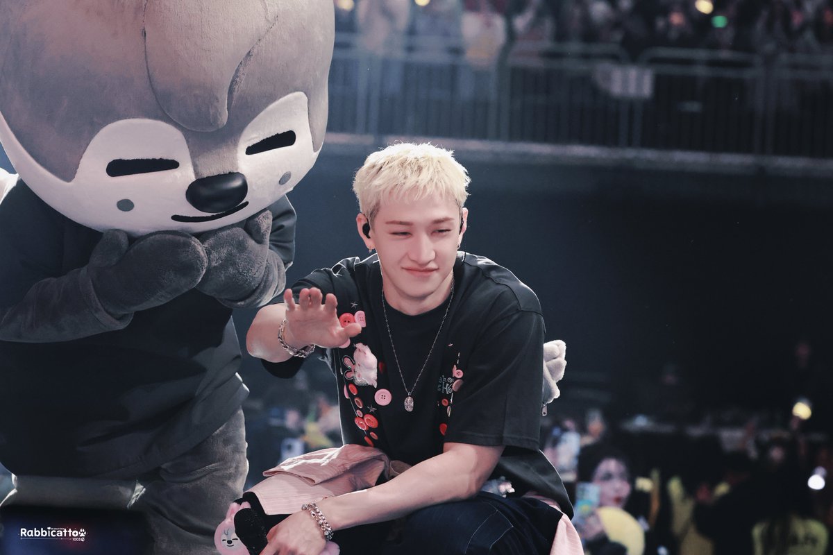 Rabbicatto tweet media