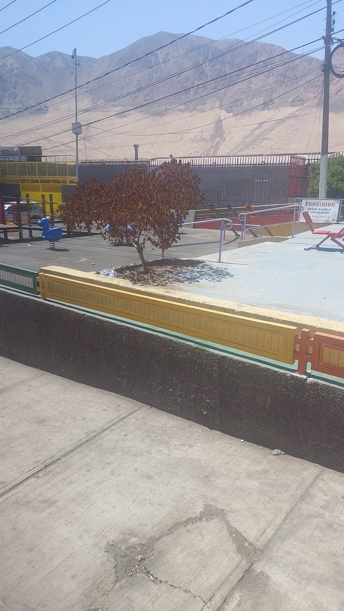 Broke.Gamer.CL 🎮 tweet media