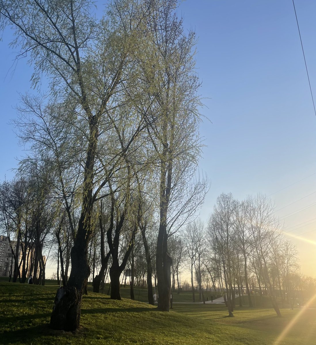 колір фуксія💖 tweet media