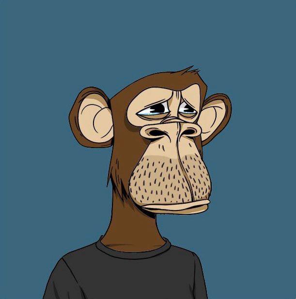 RahmaCoin's tweet photo. Justin Bieber purchased this Bored Ape NFT for $1.3 million in 2022. 

Today, it's worth $12,000

@RahmaCoin https://t.co/Kd5fBh1q2g