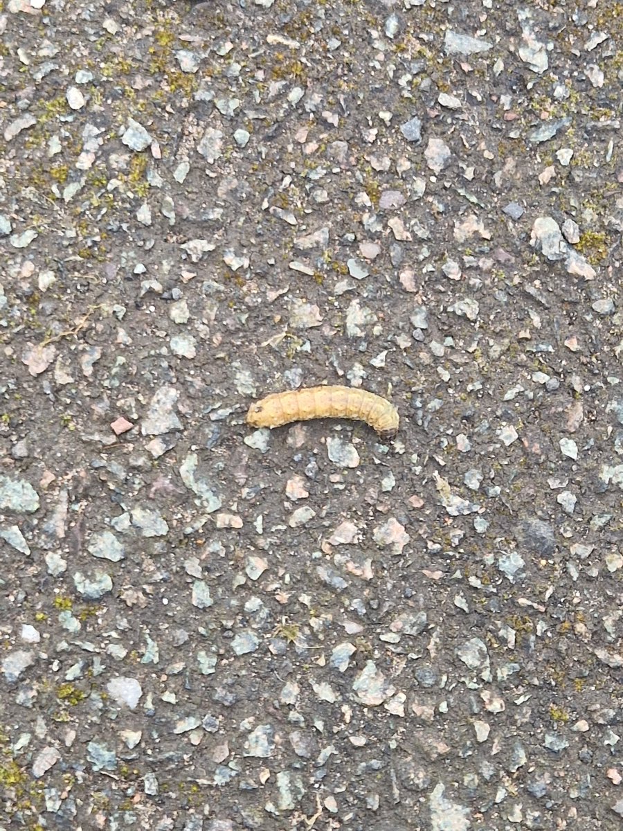 slushed the hell out tweet media