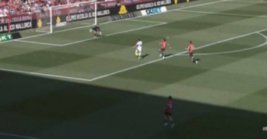 ابو اصىيل| الاحتياطي tweet media