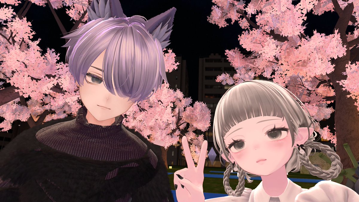 🩵momo tweet media