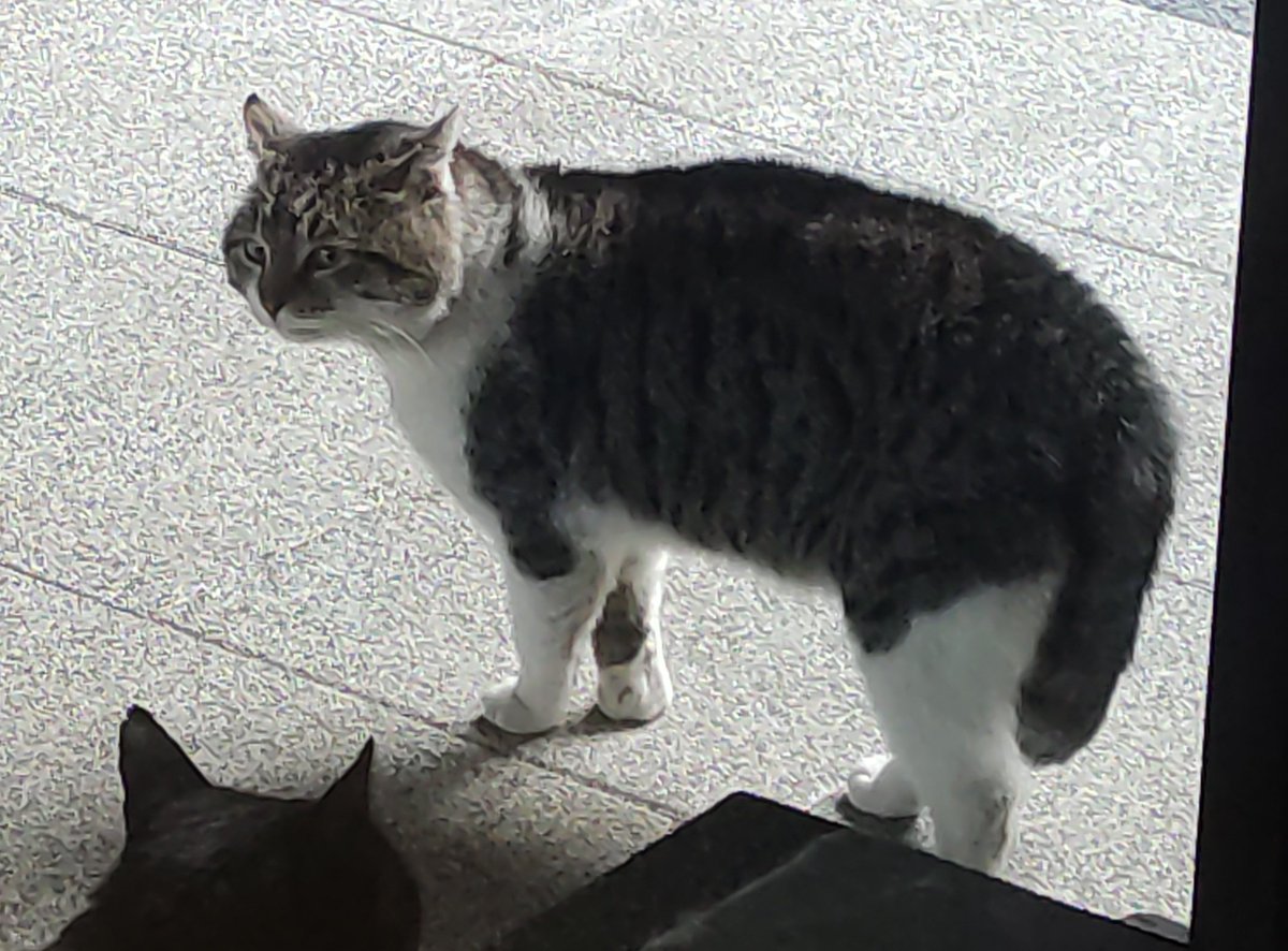 gabi ✨ tweet media