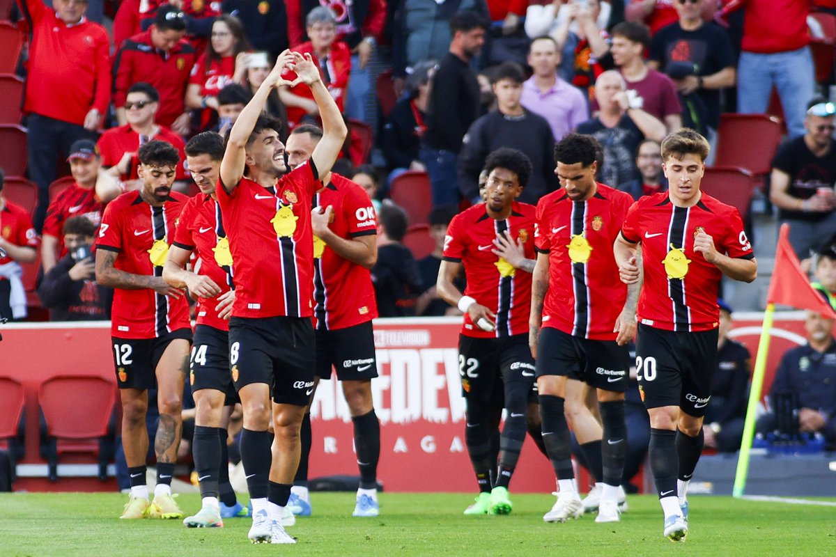 عمرو tweet media