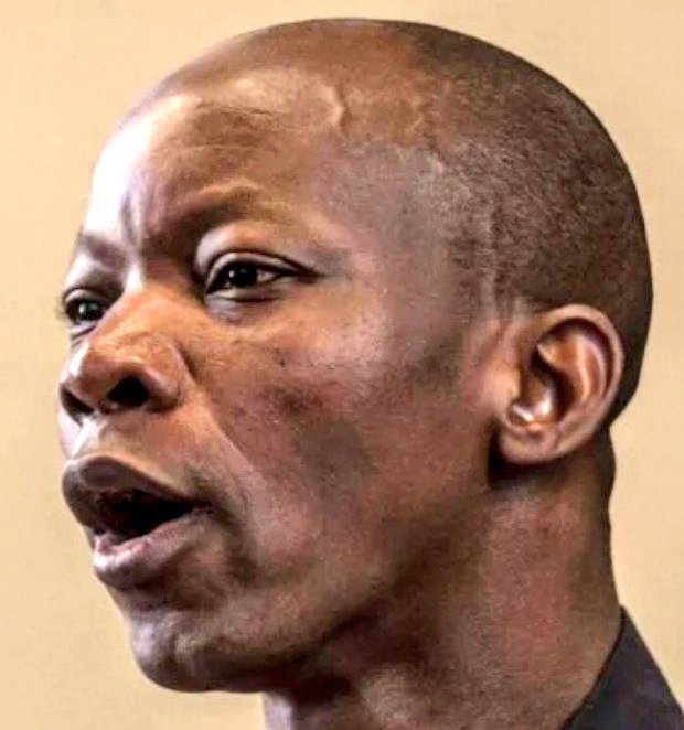 Satire-S@bine-Mueller™ 🇺🇸 @elonmusk tweet media