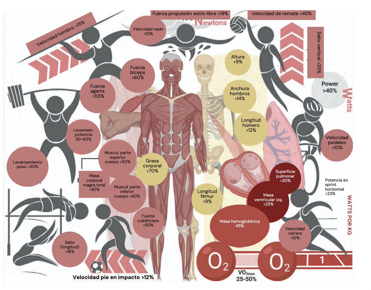 Contra El Borrado de las Mujeres tweet media