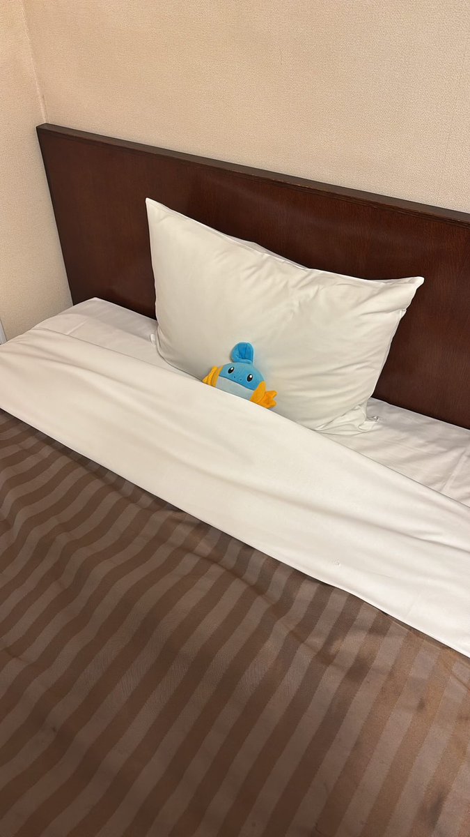 ゴヨラー💧5⃣🕯 tweet media