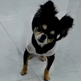 Portal Lee Joon Gi Brasil 🦊 tweet media