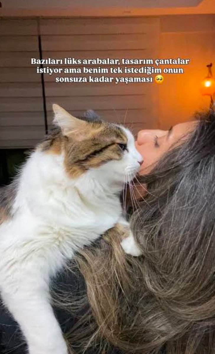 Sevda Değirmenci tweet media