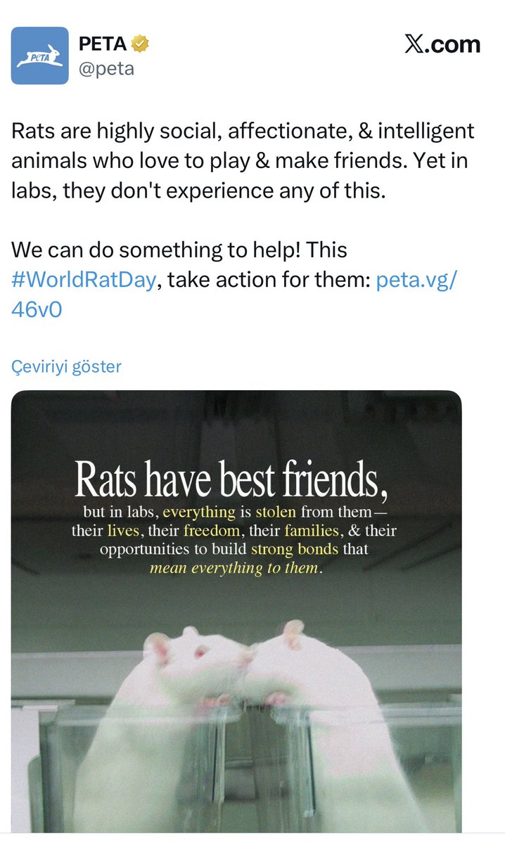 Av.Arb.ASLIHAN ERGÜN ERCAN ⚖️ tweet media