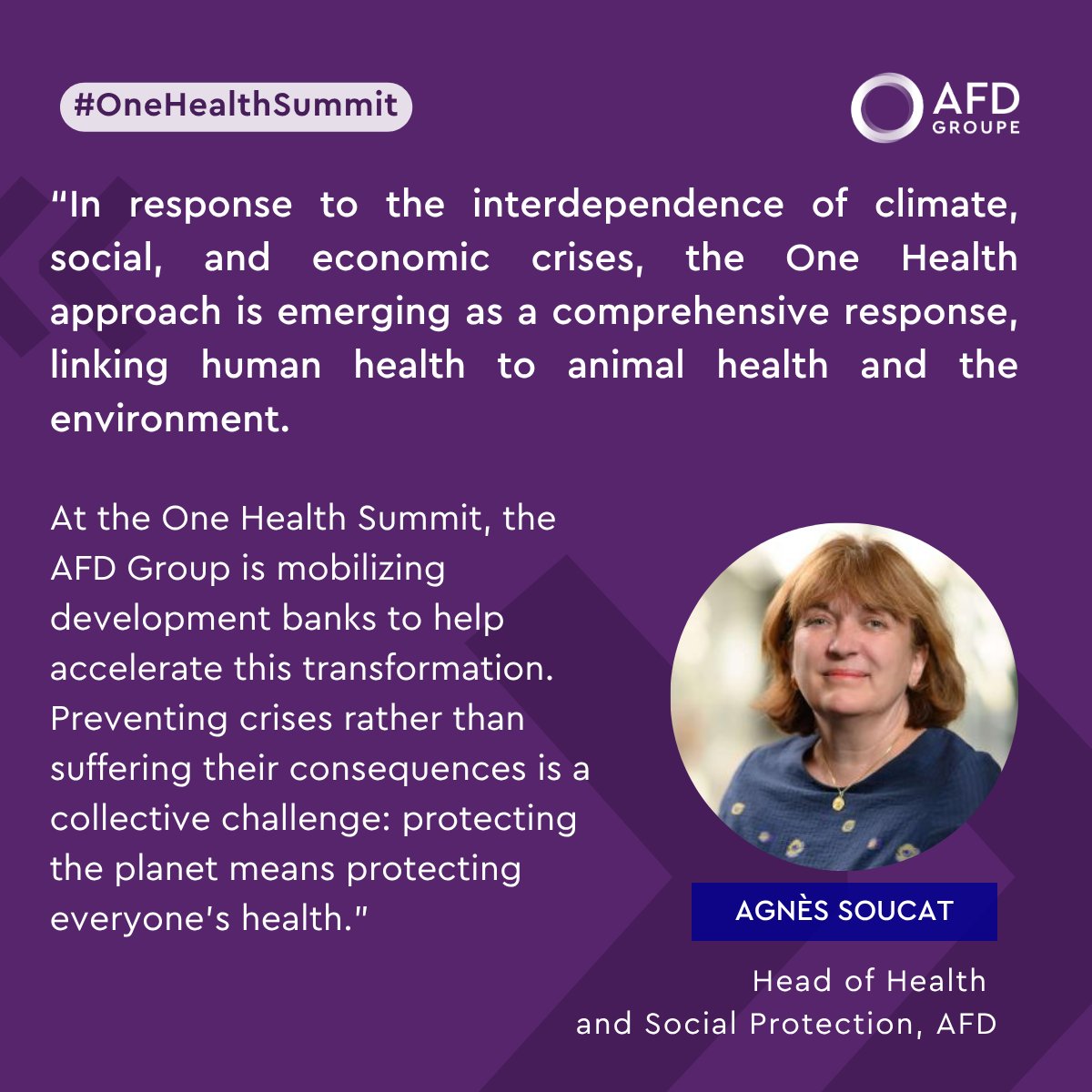 AFD_en 🇫🇷 🇪🇺 tweet media