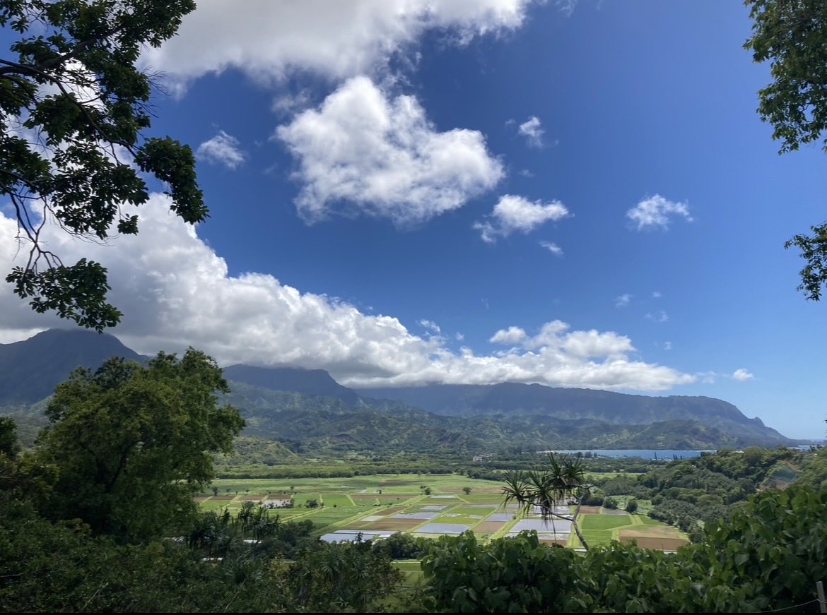 25 Day Until Hawaii 🌈🏝️🌺
Hanalei Bay ~ Kauai