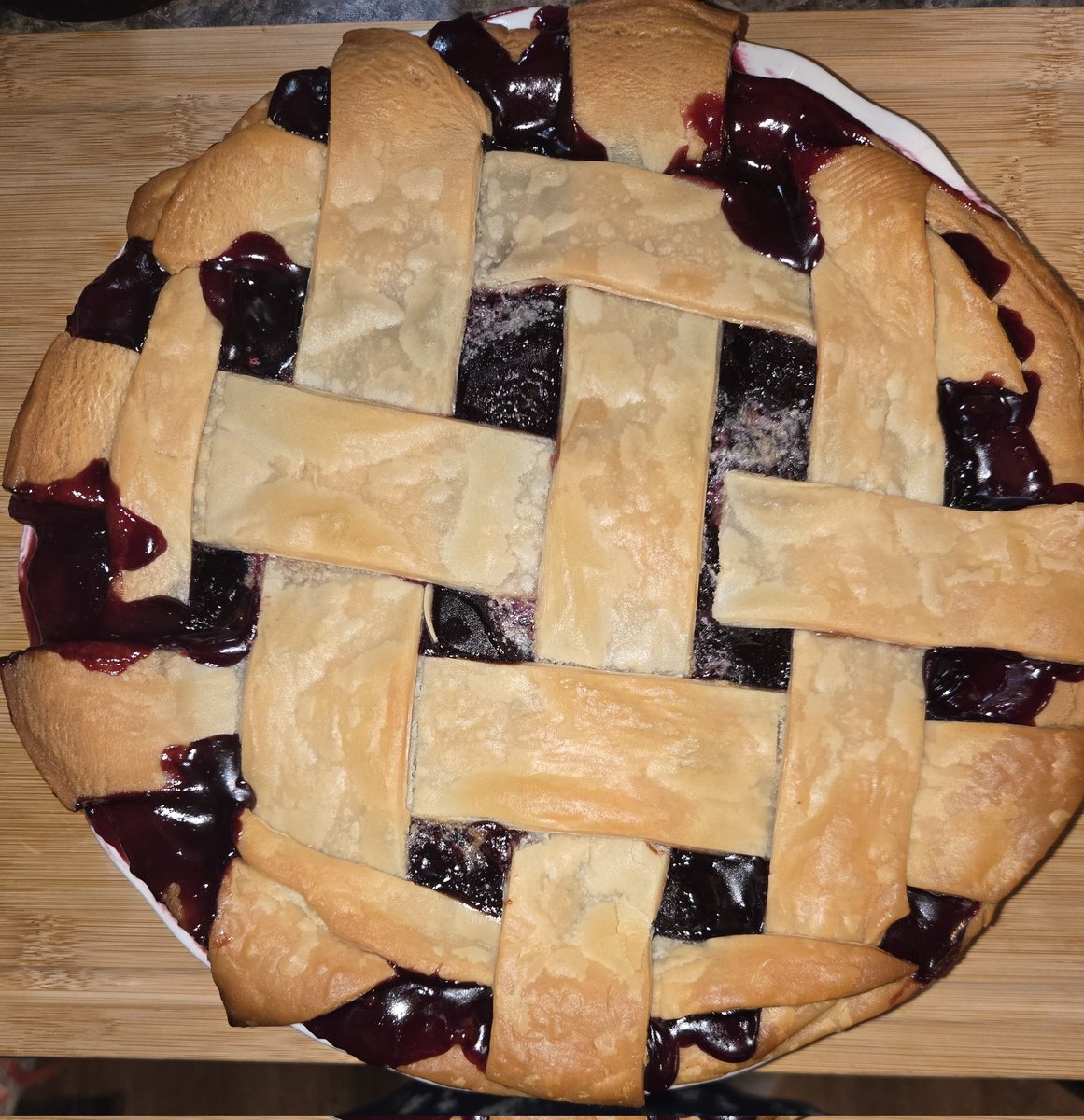 Cinny🛸Zombalien🐙 Kraken tweet media