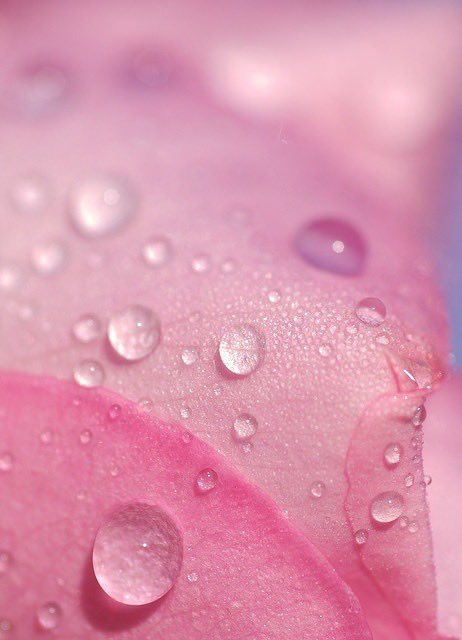 Midwest Fantasy tweet media