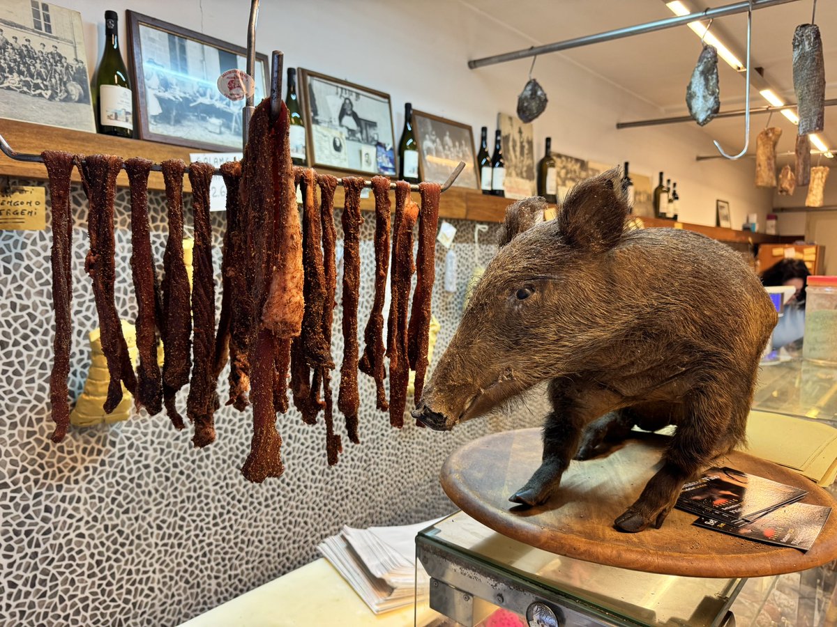 Vopice na gumě tweet media