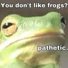 Kek McKekerson 🇺🇲🐸 tweet media