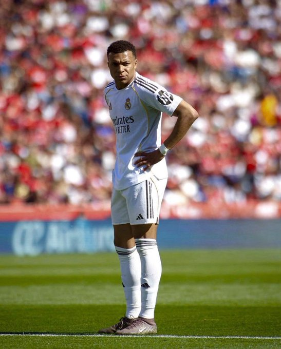 مملكة الريال tweet media