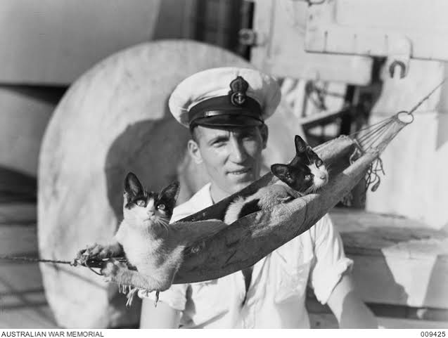 Dr. M.F. Khan tweet media