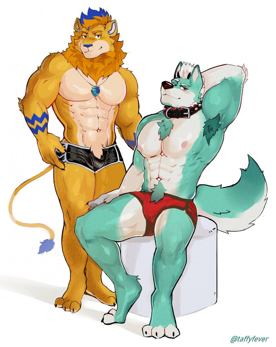 Dexter 🦁 tweet media