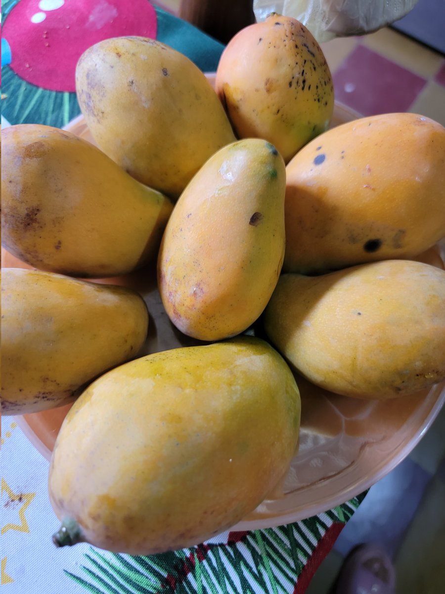 𝕵𝖆𝖈𝖐𝖞 𝕾𝖎𝖊𝖗𝖆𝖘 tweet media