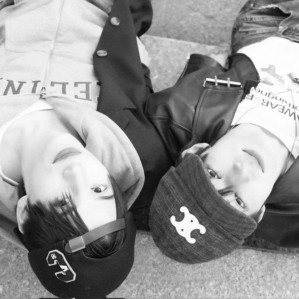 🌻🐈‍⬛ tweet media