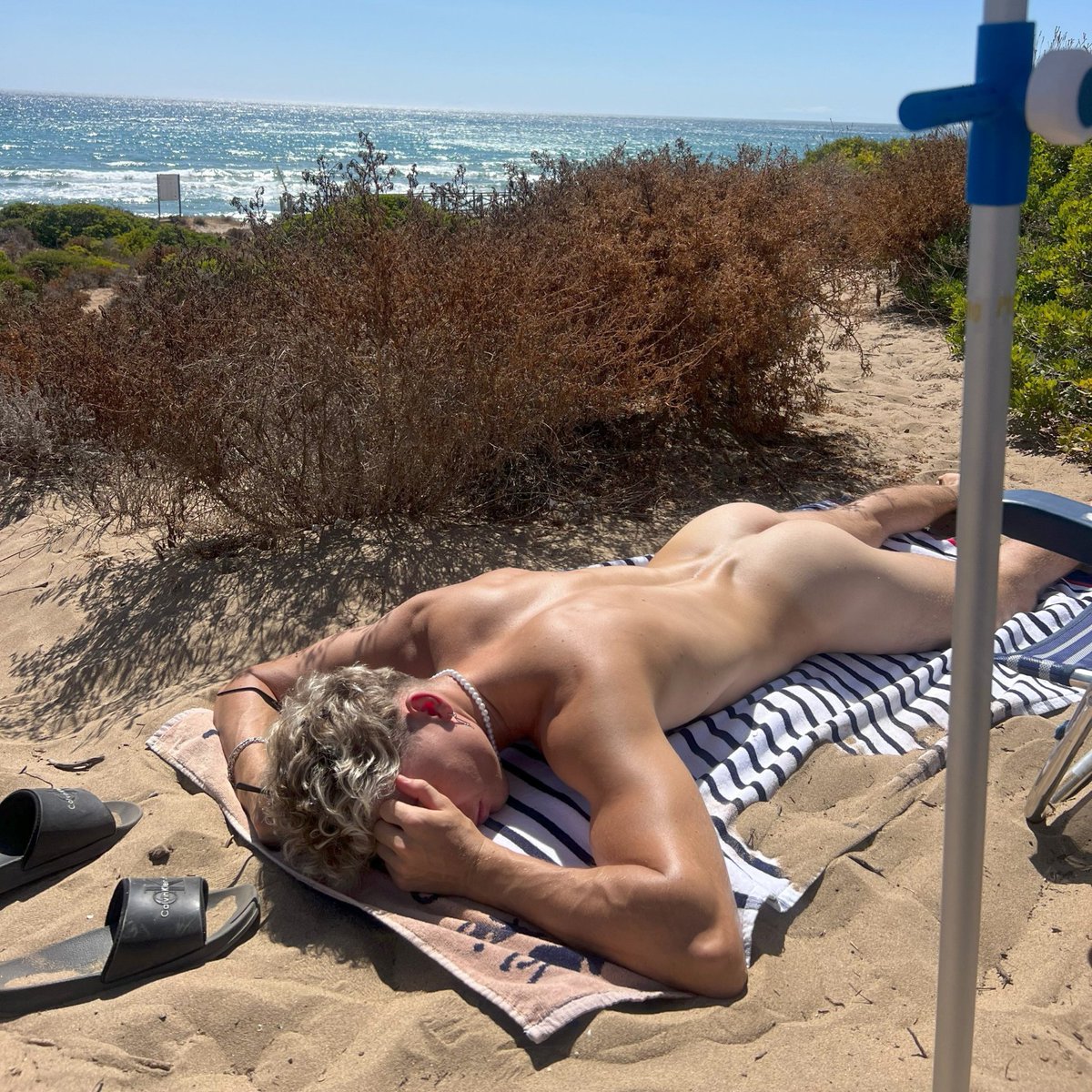 Maksim vip tweet media