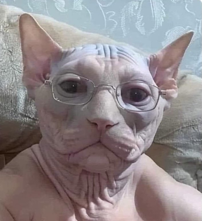 beryl 💜 tweet media