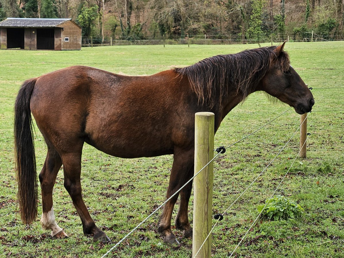 Kmbrow's tweet photo. Many thanks to all the staff, volunteers and @springmeister @manechance for the lovely Easter Trail with @clareb19 https://t.co/ofExPuzXjD