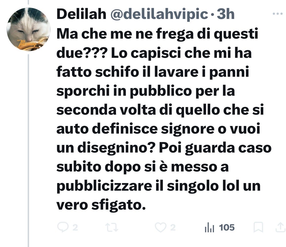 Tred 🎠 tweet media