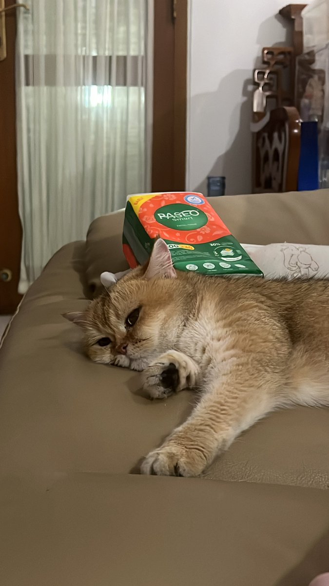 Nastar & Kara tweet media