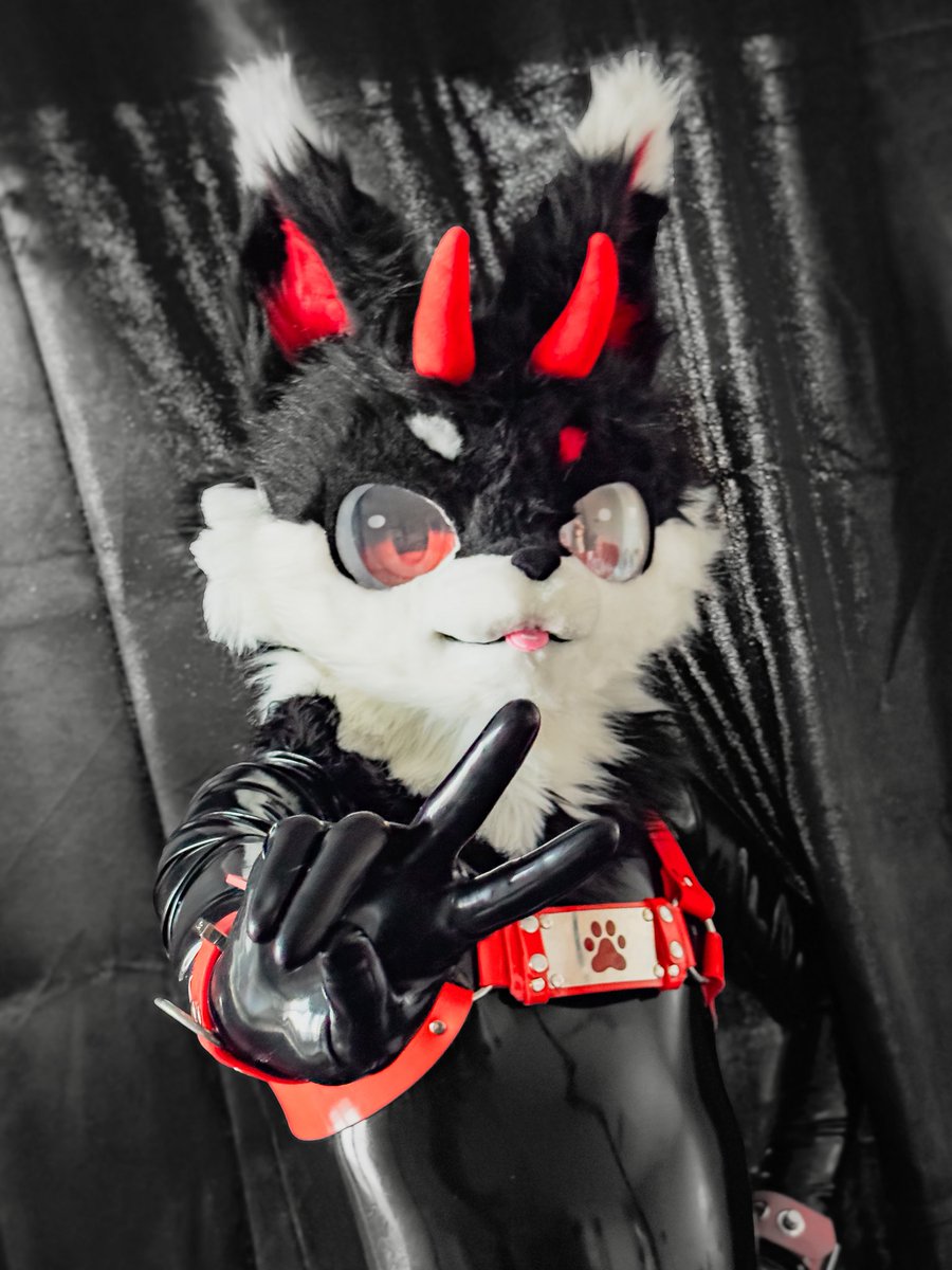 라구(Daily Lagoo) tweet media