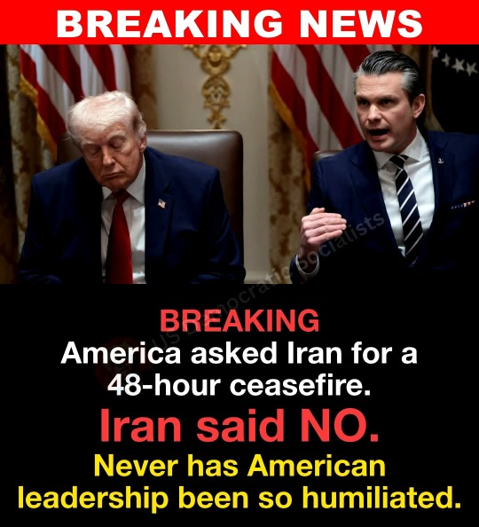 Brown Eyed Susan tweet media