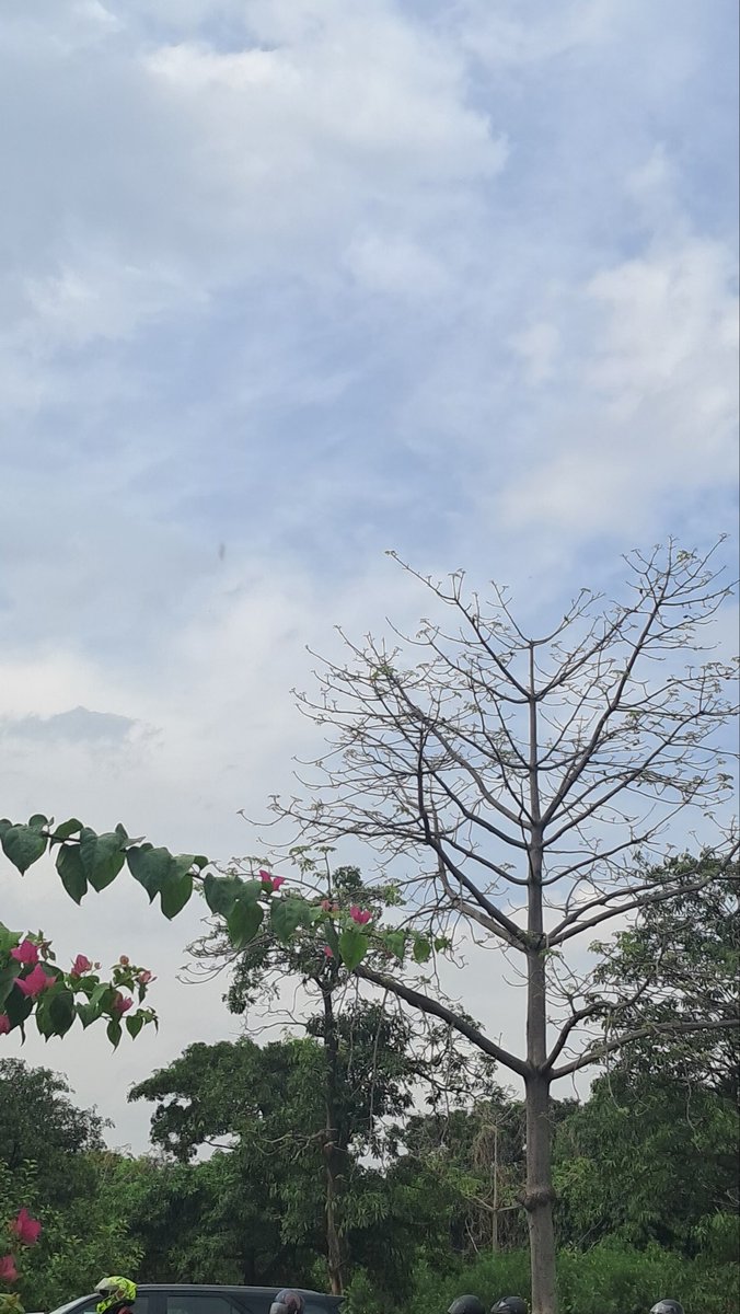 Usha Wildflower 🌱📚 🍀 tweet media