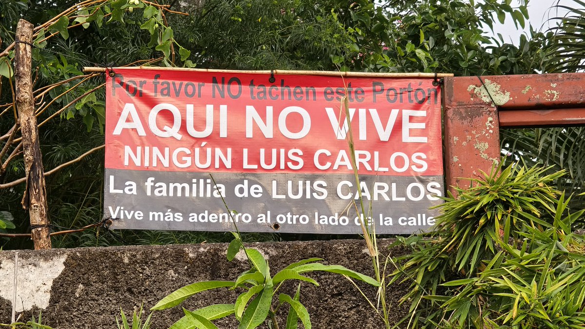 Manta Vevéh 🏊🏄™ tweet media